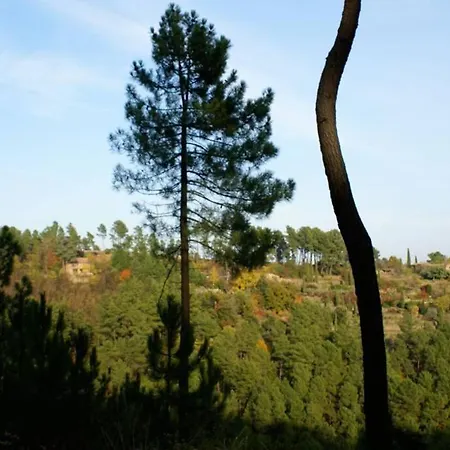 Belle Et Grande Maison Ardechoise Nyaraló Payzac